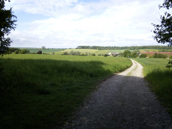 En sortant de la forêt.