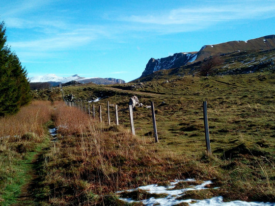 En sortant du bois