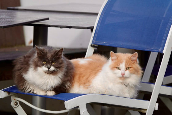 En terrasse...