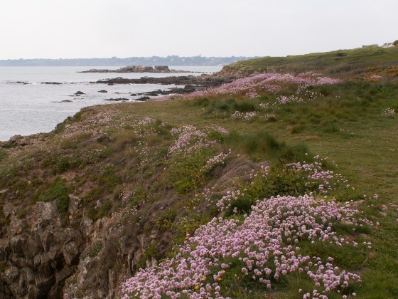 En vue de l'Île Percée