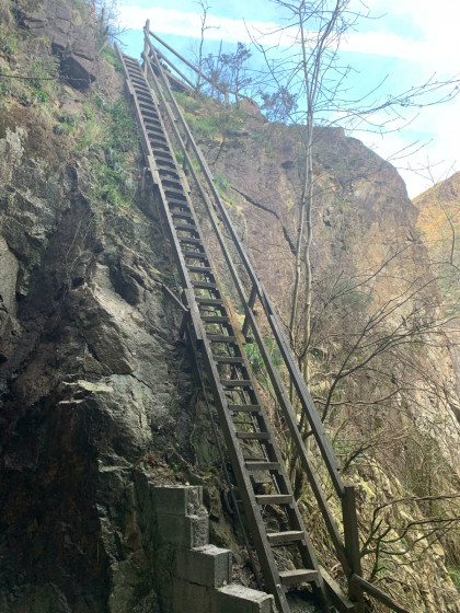 Encore un perchoir accessible par une &eacute;chelle