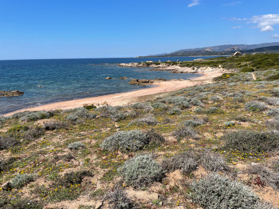 Encore une plage
