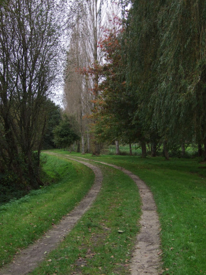 Entre bois et prairies