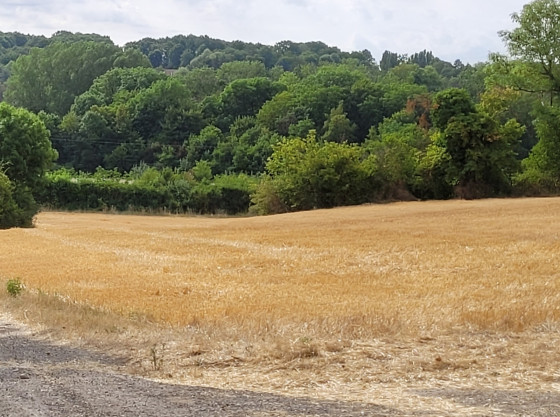 Entre bois, forêt et rive de la Seine