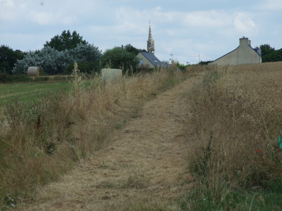 Entre champs de bl&eacute; et pr&eacute;