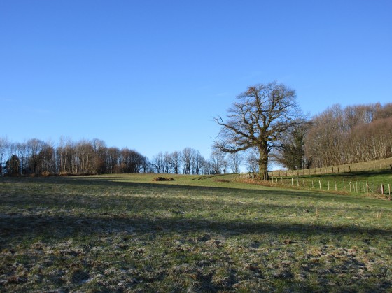 Entre champs et for&ecirc;ts