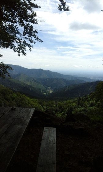 Entre col des Perches et gazon