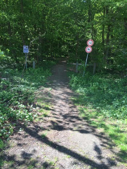 Entr&eacute; de la for&ecirc;t