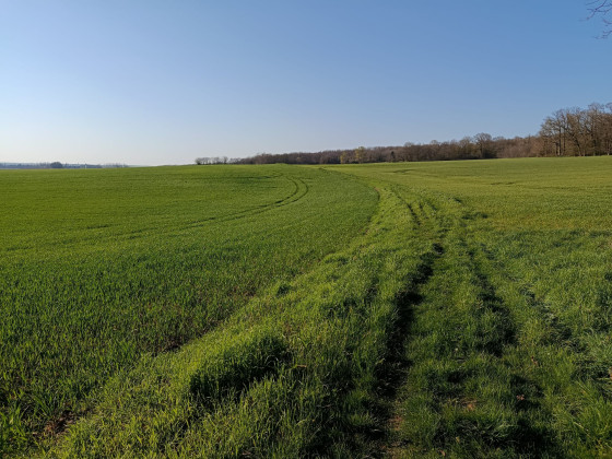 Entre Elleville et Saint-Martin