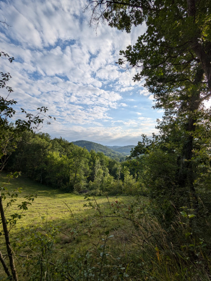 Entre forêt et champs avec vue sur les coteaux