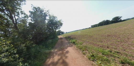 Entre forêt et champs