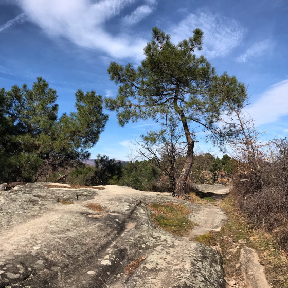 Entre Fromenteyrol et Saint-Julien-du-Serre