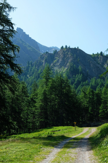 Entre la Bergerie et la Cabane de la Lavine