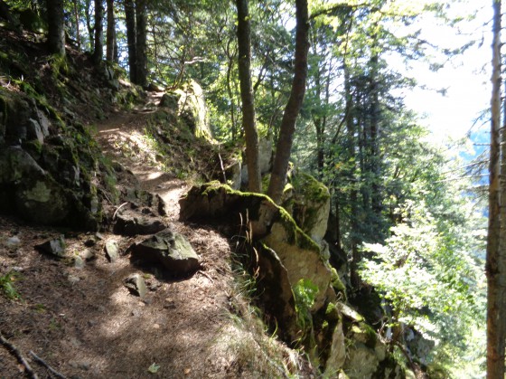 Entre le lac d\'Altenweiher et le Kerbholz
