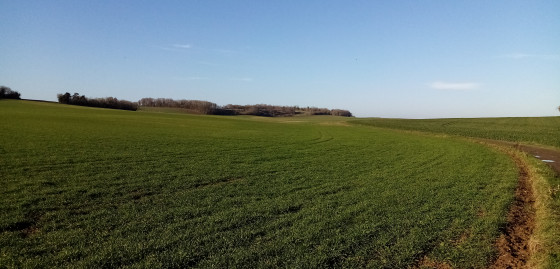 Entre les champs