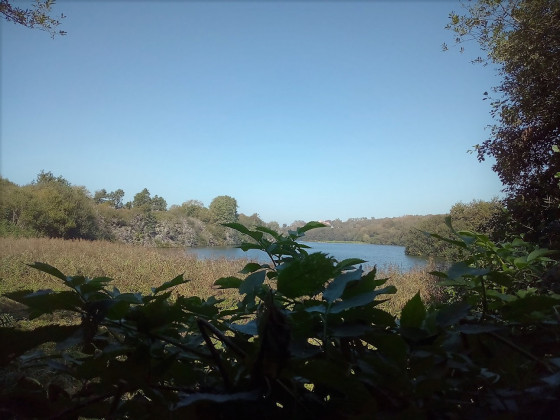 entre marais et marée