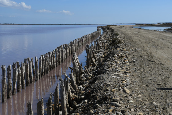 Entre mer et &eacute;tangs