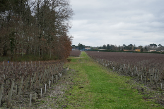Entre parc et vignoble