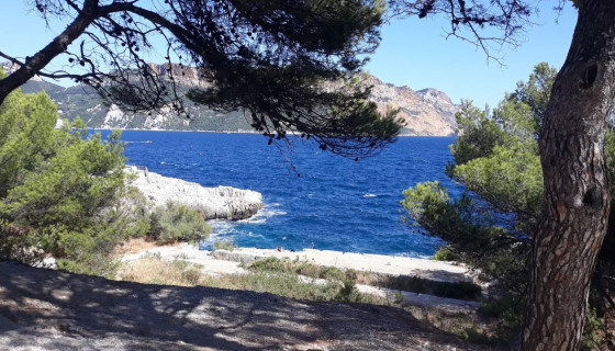 Entre pins et calcaire : premier regard sur le Cap Canaille