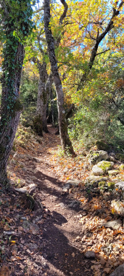 Entre Plaine de lambartes et pré des masques