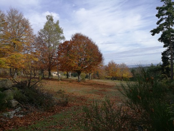 Entre Sagne Rousse et Fouzilhac