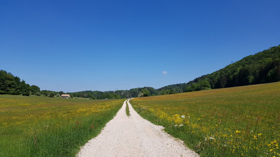Entre Teigne et Surmont