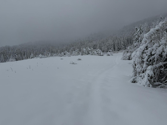 entre Villard de Lans et Lans en Vercors