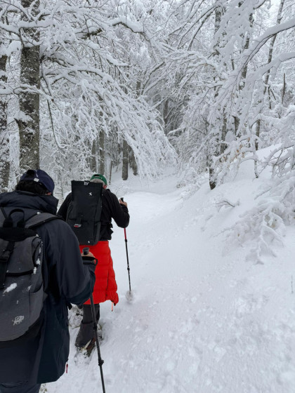 Entre Villard de Lans et Lans en Vercors