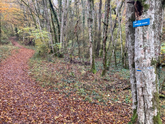 Entrée Combe Creuse