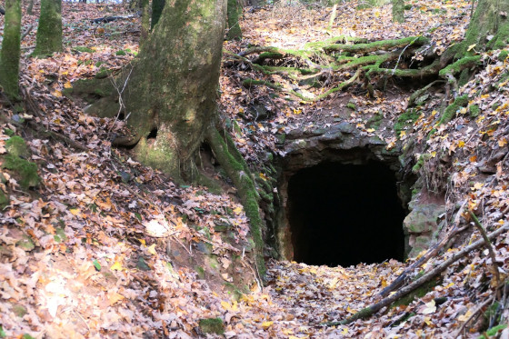 Entrée d\'un abri