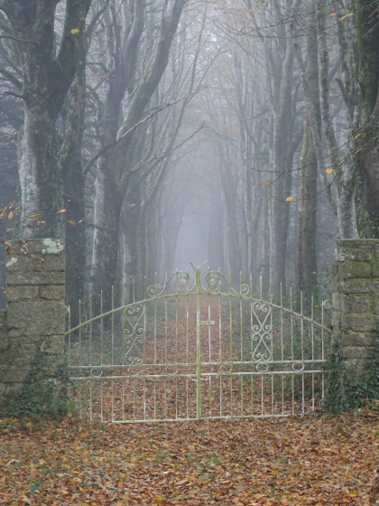 Entrée d\'une propriété en sous bois