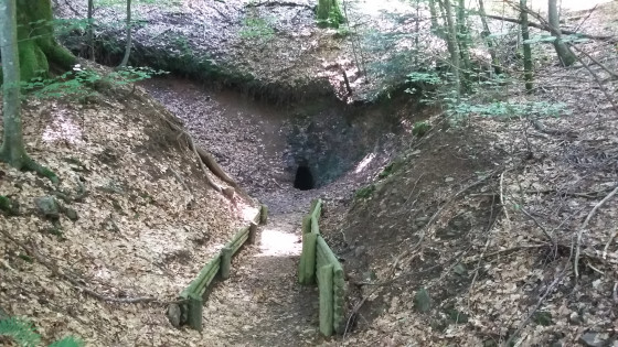 Entrée de galerie