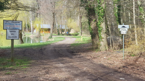 Entrée de l\'étang du Riedweiher