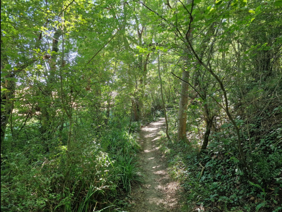 Entrée de la forêt le long du Ruisseau de Bonneval
