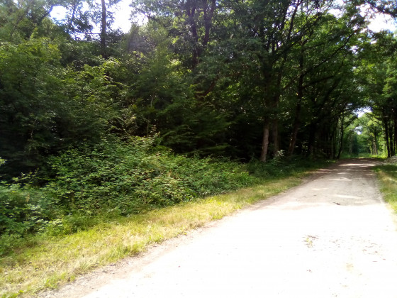 Entrée de sentier mal identifiée