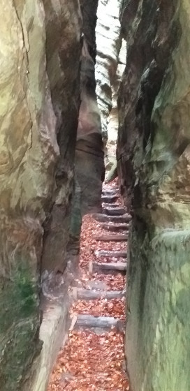 entrée de Werschrummschlüff