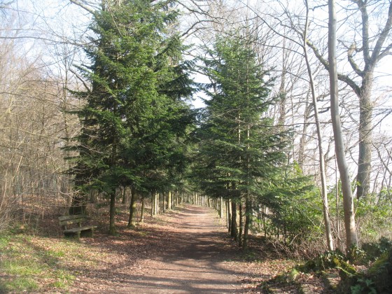 Entree du Bois de MOnteclin