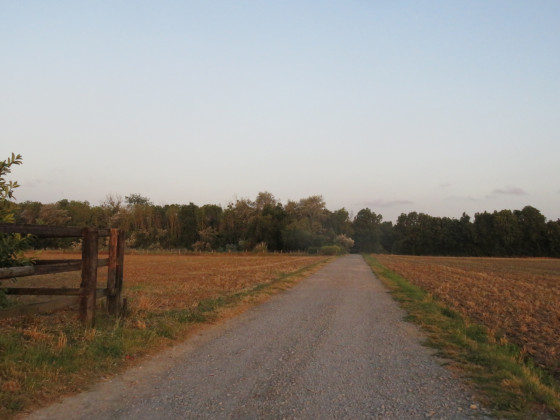Près du bois du Caprice
