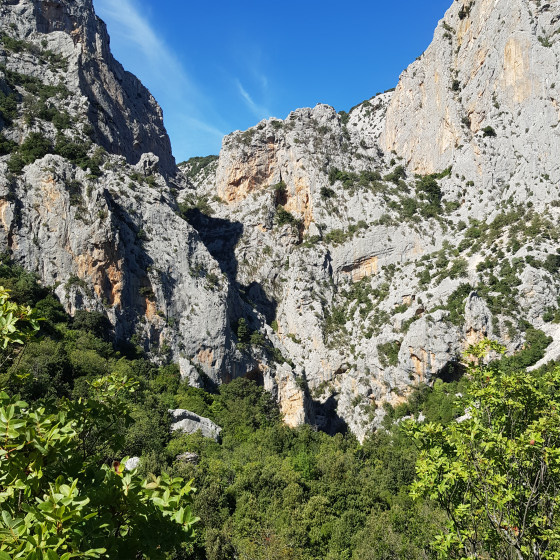 Entrée du canyon