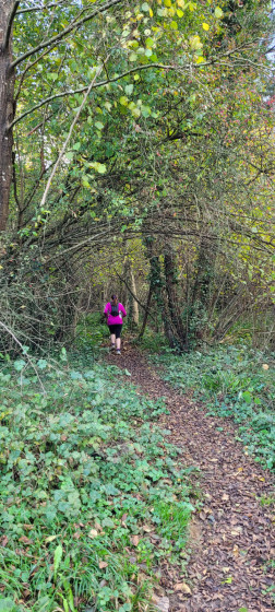 entr&eacute;e du sentier des bords du Furand