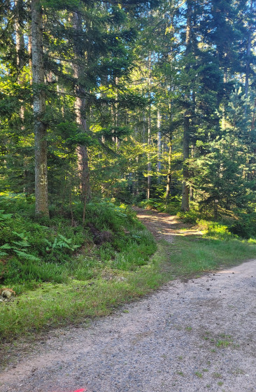 Entrée du sentier non balisé