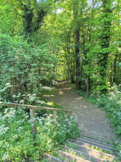 Entr&eacute;e en for&ecirc;t de Morval