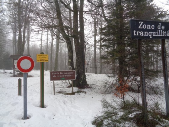 Entrée Ouest de la Forêt Domaniale de Guebwiller (février 2017)