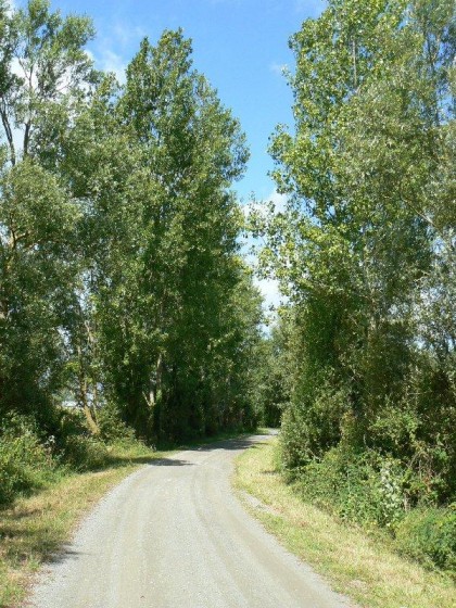 Entr&eacute;e sur le chemin du retour