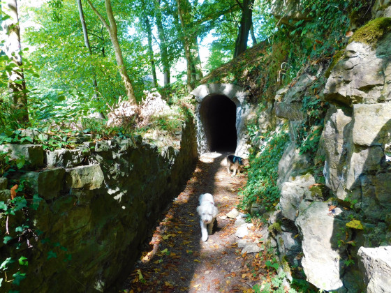 Entrée tunnel des amoureux