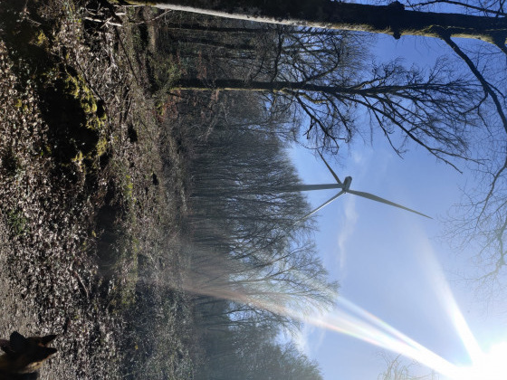 éolienne