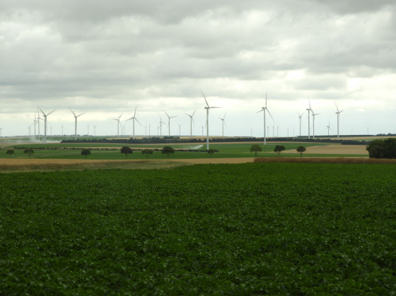 Eoliennes cot&eacute; est de la for&ecirc;t.