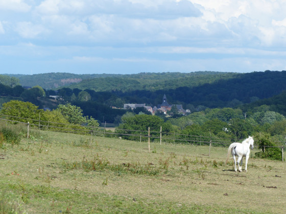 Eppe-Sauvage dans son &eacute;crin de verdure
