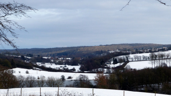 Eppe-sauvage sous la neige