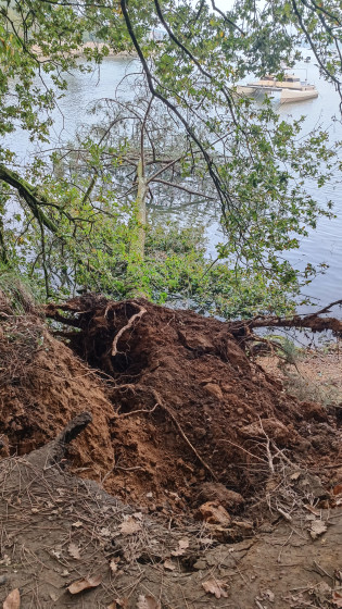 Erosion des berges